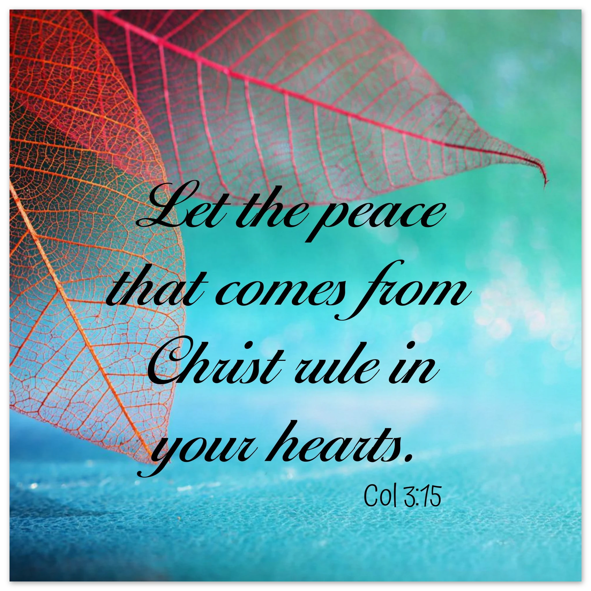 4786855d-3af9-445d-9834-59a85c611069