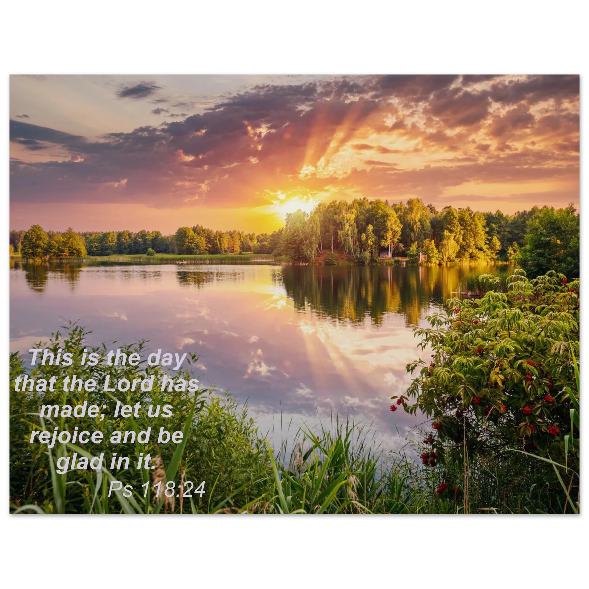 7b9bd3b1-353a-42da-a96c-768d8d9d6815